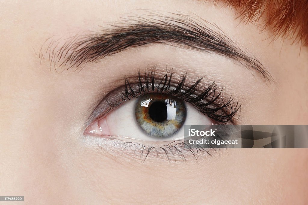 Woman's eye  Adult Stock Photo