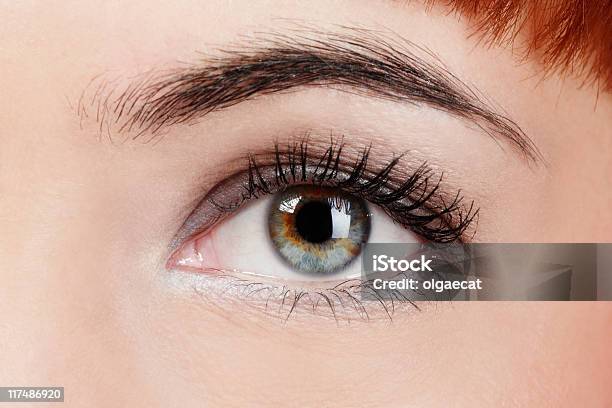 Womans Eye Stock Photo - Download Image Now - Adult, Aging Process, Blinking