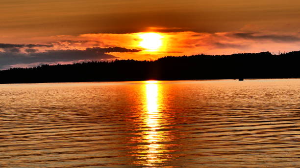 istock Brightly coloured sunset over the waterfront forest 1174870227