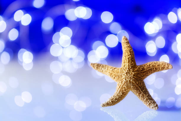 Starfish against a blurred and festive background. Bokeh, selective focus with copy space and lights. Off-center composition. Holiday at the beach.