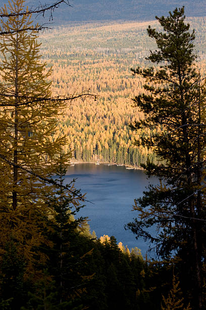 Lago de montanha no outono - fotografia de stock