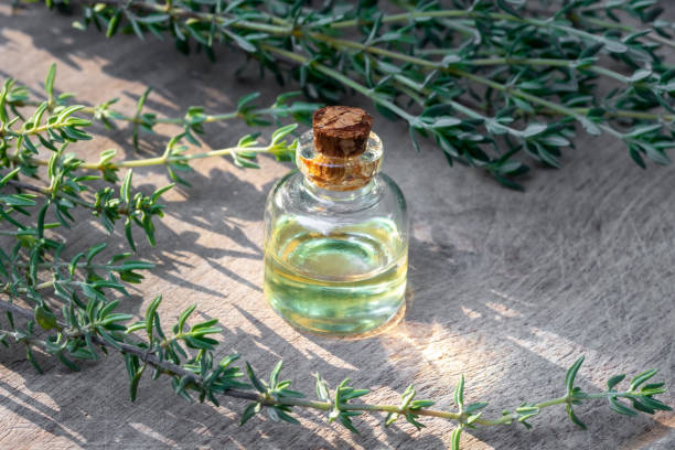 istock A bottle of essential oil with fresh thyme 1174871945