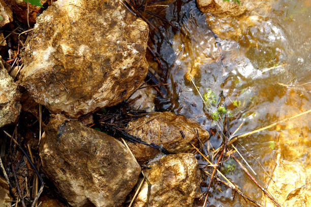 istock Many brown stones are washed with water on the shore. 1174872675