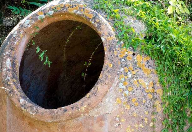 istock Old big ceramic pot, jug in overgrown old park. 1174874567