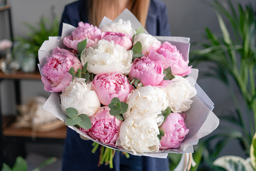 Peonies in womans hands. Beautiful peony flower for catalog or online store. Floral shop concept . Beautiful fresh cut bouquet. Flowers delivery.