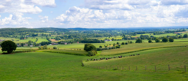 istock Limburg Landscape 1174878056