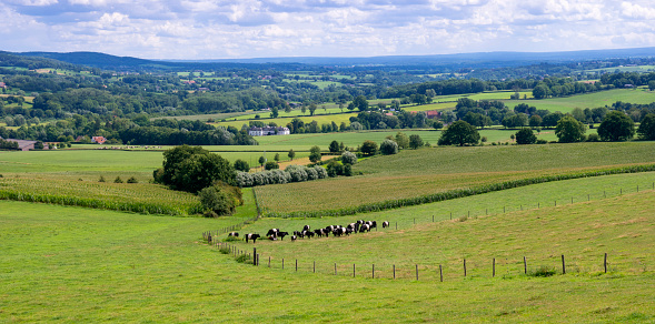 Panoramis oc a typical landscape of Limburg, Netherlands, with rolling hills unde a nicely clouded sku