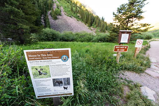 Aspen, USA - July 19, 2019: Maroon Bells trail in Colorado summer and sign for moose and dogs on leash wide angle closeup