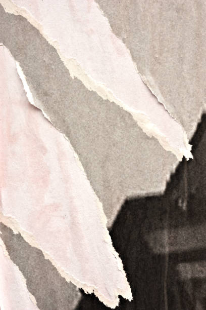 istock Old ripped torn paper crumpled creased posters grunge textures backdrop backgrounds placard surface 1174878320