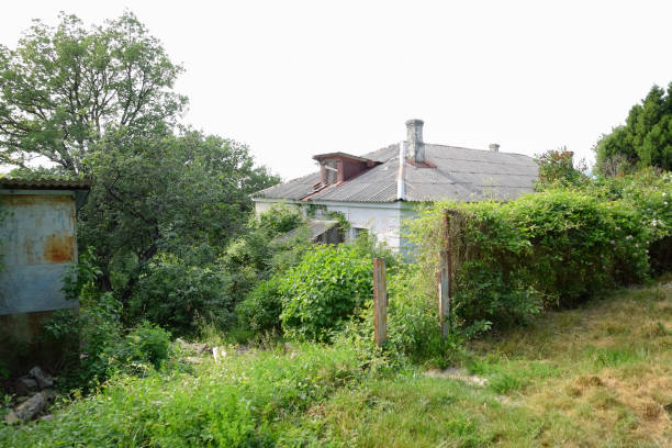 istock Old dilapidated houses in abandoned village 1174881165
