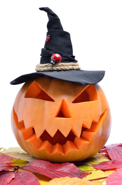 istock Pumpkin for Halloween isolated on white background 1174881505