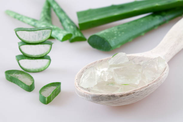 istock aloe vera leafs for beauty wellness 1174881517