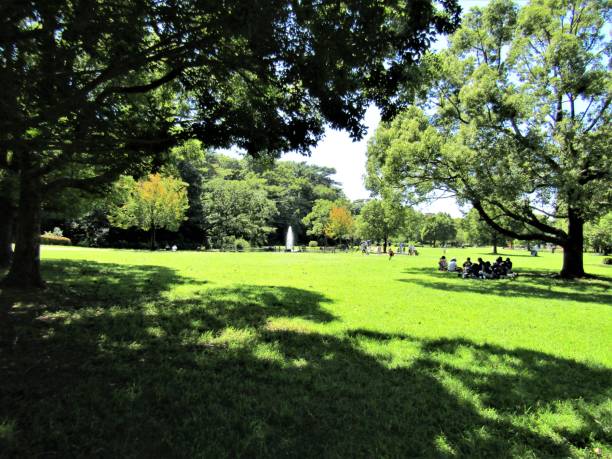 istock Nice sunny day in September at public park, Saitama, Japan. 1174884983
