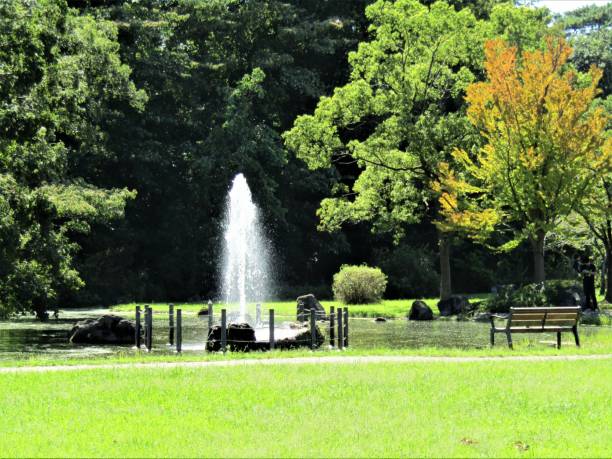 istock Nice sunny day in September at public park, Saitama, Japan. 1174884985