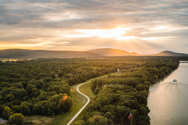 vue de bratislava et c'est la forêt - slovaquie photos et images de collection