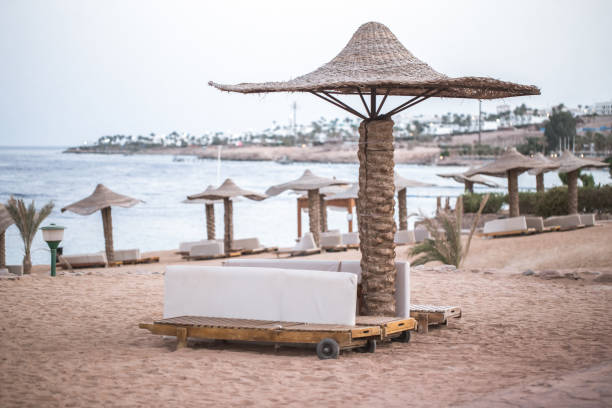 istock Empty beautiful beach with umbrellas and sunbeds in Egypt . 1174889218
