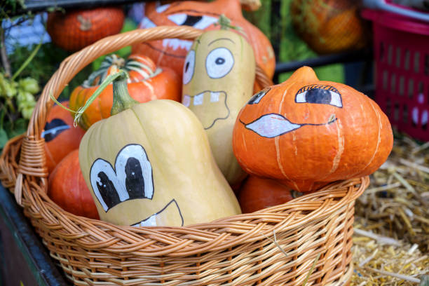 Calabazas Decorativas Pintadas Para Halloween En Una Cesta Foto de stock y  más banco de imágenes de Calabaza gigante - iStock