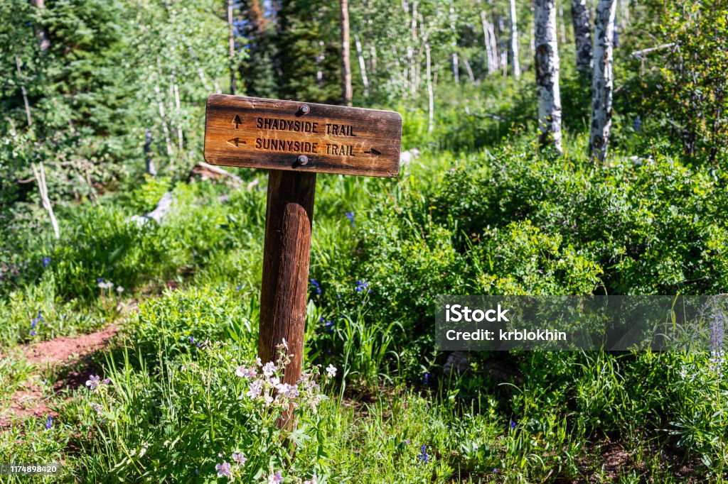 Morning with sign directions for Shadyside and Sunnyside Trail in Aspen, Colorado in Woody Creek neighborhood Morning with sign directions for Shadyside and Sunnyside Trail in Aspen, Colorado in Woody Creek neighborhood in early 2019 summer with wildflowers 2019 Stock Photo