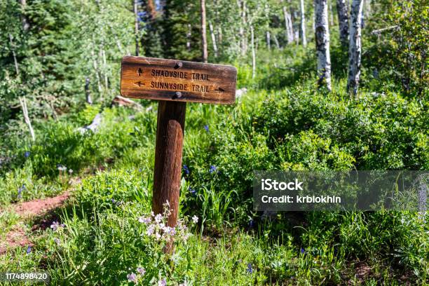 Morning With Sign Directions For Shadyside And Sunnyside Trail In Aspen Colorado In Woody Creek Neighborhood Stock Photo - Download Image Now