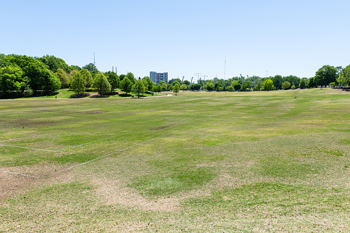 View in Piedmont Park in Georgia downtown with scenic green trees, grass lawn in summer at Atlanta, Georgia