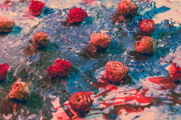 istock creative floral background dried rose buds paint 1174901736