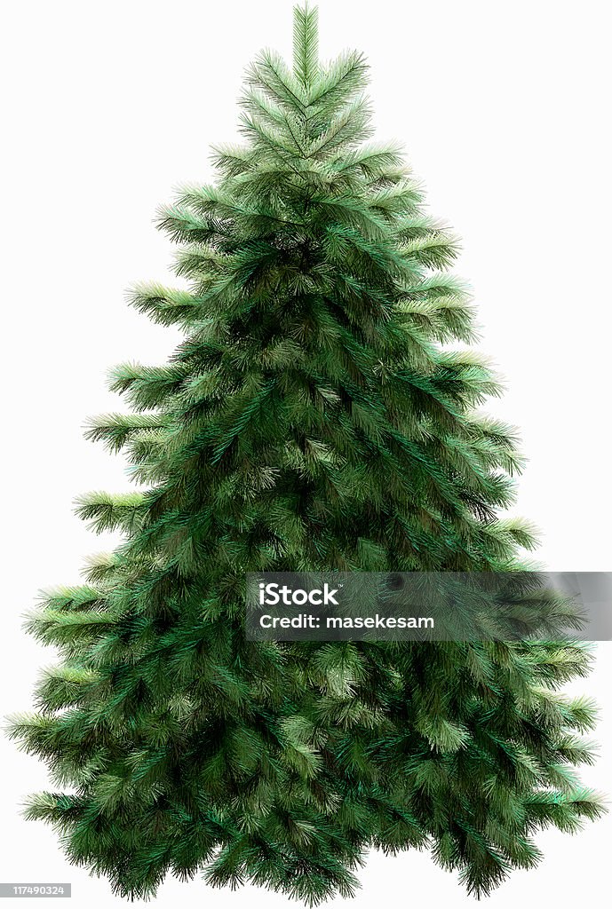 Albero di natale isolata - Foto stock royalty-free di Abete