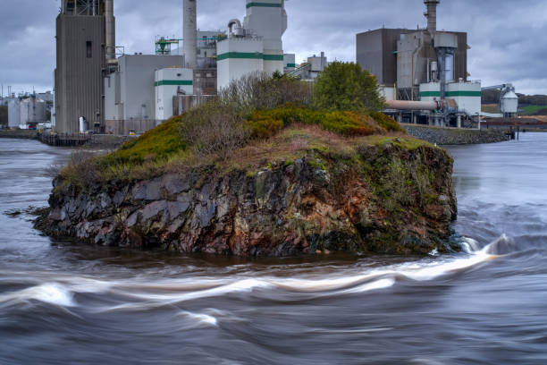 istock Reversing Falls, Saint John, New Brunswick, Canada 1174904594