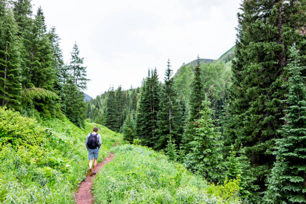 Dirt road hike on Conundrum Creek Trail with pine tree forest in Aspen, Colorado in 2019 summer with man walking Dirt road hike on Conundrum Creek Trail with pine tree forest in Aspen, Colorado in 2019 summer with man walking aspen colorado photos stock pictures, royalty-free photos & images