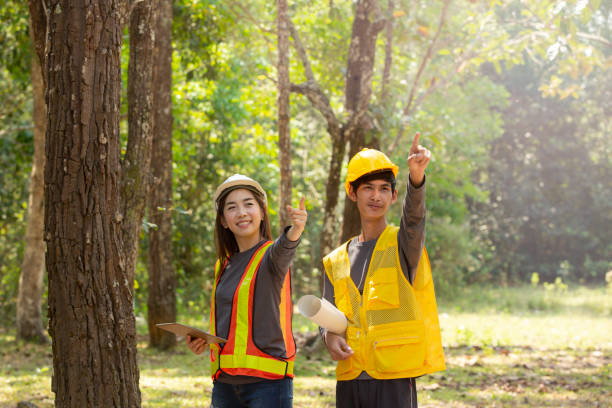 istock The supervisors are constructing roads in the forest. Young Engineer female holding blueprint on hand. Engineer team working on project at the forest. Technical operaters and Labourers. 1174906132