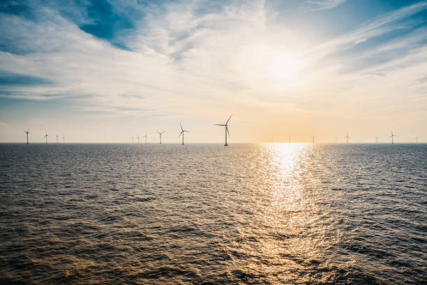 istock Wind turbines on the ocean. 1174909248