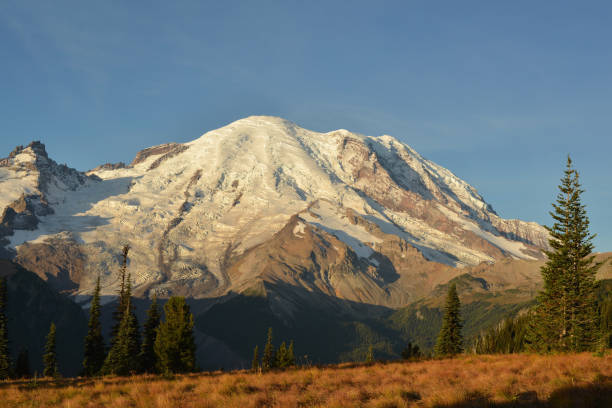 istock Mt Rainier on a sunny day 1174913581
