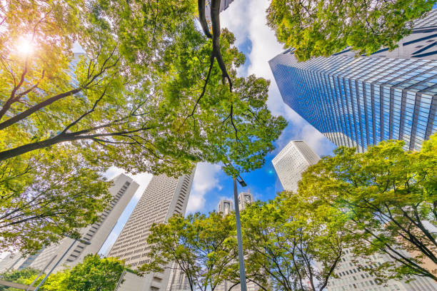 istock Blue sky and Shinjuku skyscrapers 1174913717