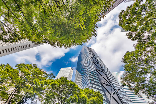 istock Blue sky and Shinjuku skyscrapers 1174913718