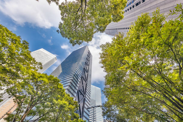 istock Blue sky and Shinjuku skyscrapers 1174914574