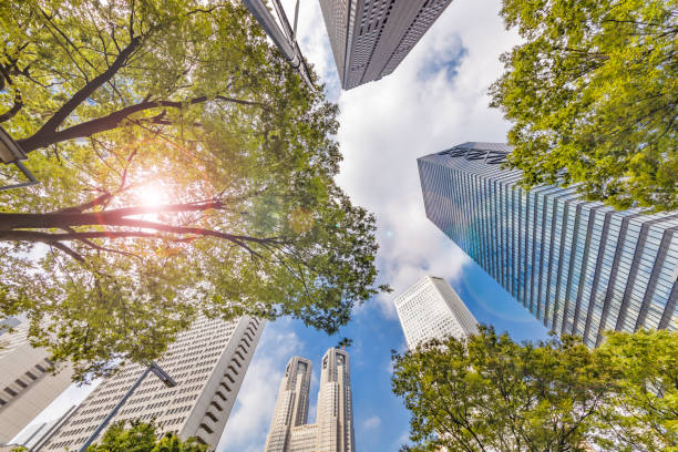 istock Blue sky and Shinjuku skyscrapers 1174914580