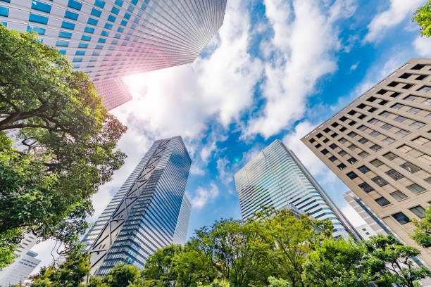 istock Blue sky and Shinjuku skyscrapers 1174914608