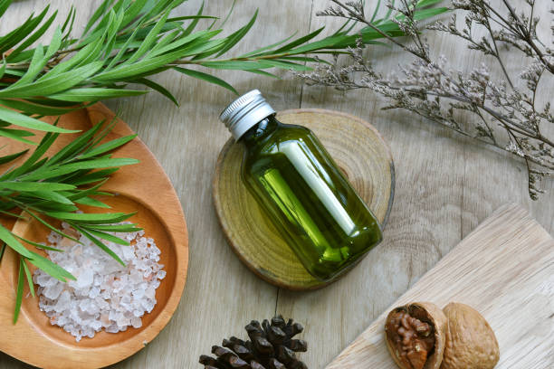 istock Cosmetic bottle containers packaging with green herbal leaves, Blank label for organic branding mock-up, Natural skincare beauty product concept. 1174914842