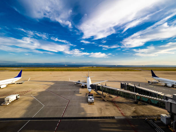 In January 2020, the planes of Japan Airlines arriving at Narita Airport were parked in the airport building in an orderly manner.