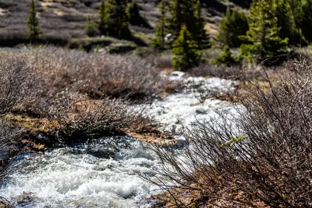 Small raging river at Linkins Lake trail on Independence Pass in rocky mountains near Aspen, Colorado in summer of 2019