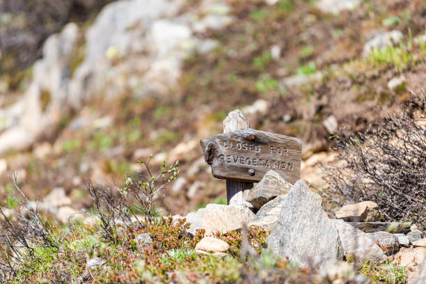 zeichen für revegetation am linkins lake trail auf dem trailhead am independence pass in felsigen bergen im frühsommer 2019 in colorado - linkins lake trail stock-fotos und bilder