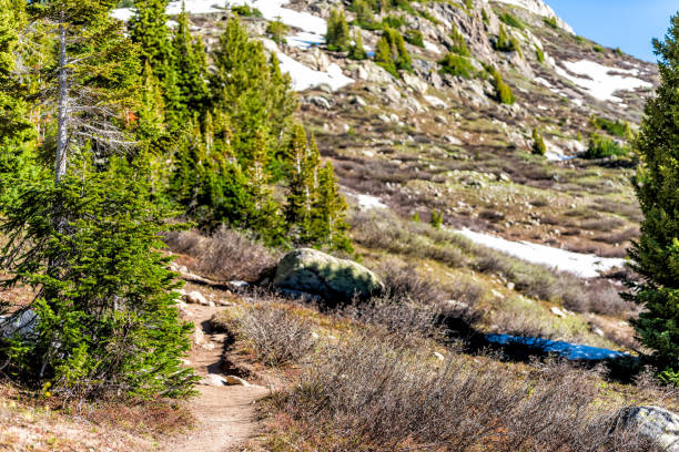 bergblick und pinien am linkins lake trail trail trail am independence pass in felsigen bergen bei aspen, colorado im frühsommer 2019 - linkins lake trail stock-fotos und bilder