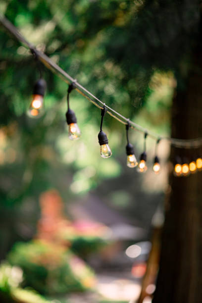 istock Decorative Outdoor Party Lights in Garden 1174920893