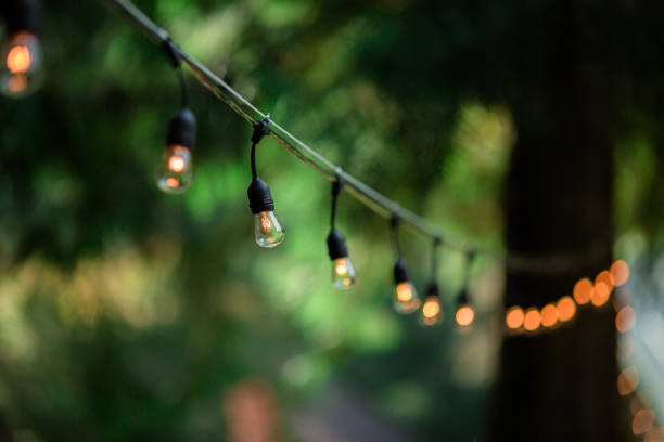 istock Decorative Outdoor Party Lights in Garden 1174920897