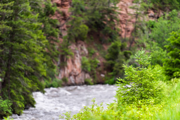 estrada 133 em redstone, colorado durante o verão com raging rio de cristal e árvores verdes - rafting rapid colorado river - fotografias e filmes do acervo