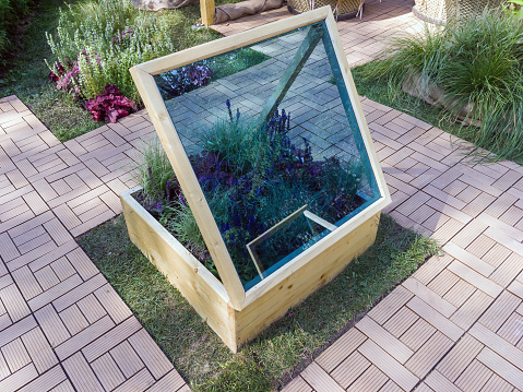 Glass mini-greenhouse over a flower bed with plants