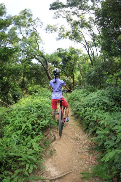 Photo of Cross country biking cyclist riding mountain bike on tropical rainforest trail