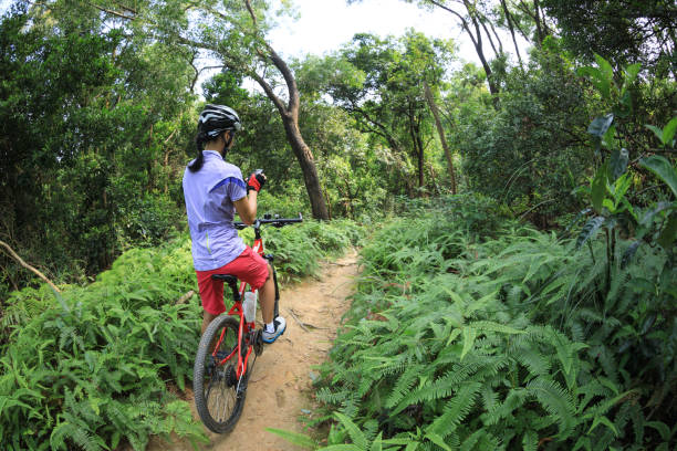 istock Cyclist using smart phone while riding bike on the rainforest trail 1174921924