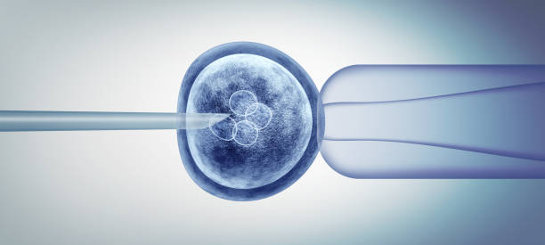 Editing Gene Biology Editing gene biology and reproductive genetic biotechnology as a 3D illustration. human egg photos stock pictures, royalty-free photos & images