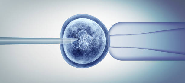 Editing Gene Biology Editing gene biology and reproductive genetic biotechnology as a 3D illustration. crispr photos stock pictures, royalty-free photos & images