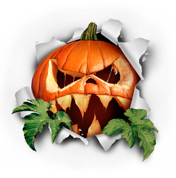 Pumpkin halloween surprise tearing paper with leaves bursting out of ripped hole as a scary dangerous evil jack o lantern with a threatening expression as a seasonal fall element with 3D illustration elements.